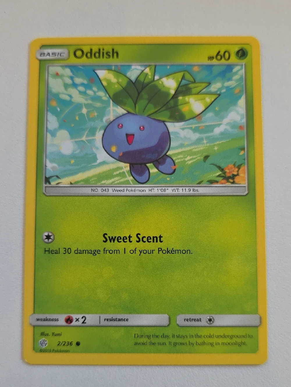 Pokemon all cards